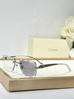 Smoke/ silver frame